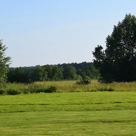 Guest house Cherry 3*