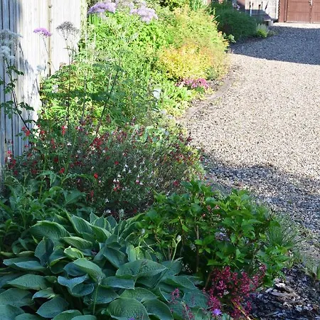 Guest house Cherry York