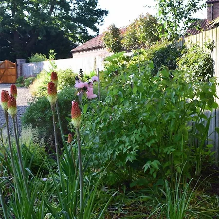 Guest house Cherry York